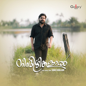 Niramizhikalaal (Cover Version)