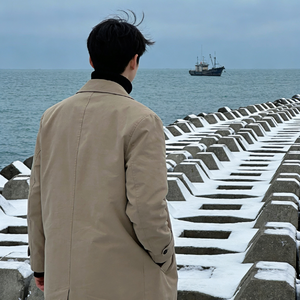 回首山河已是秋