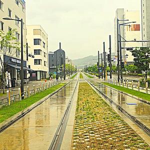 중년의 어느날