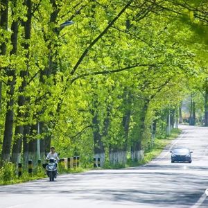 我的家乡在南方