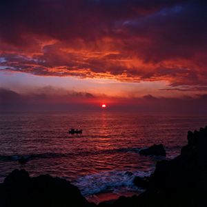 Бессмертный полк.