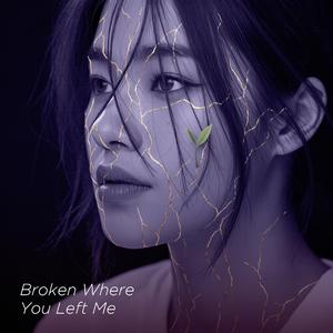 Shadows in the Lamp Light