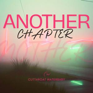 THE SILENT CONTROLLER