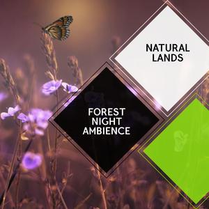 Prolific Spring Bees