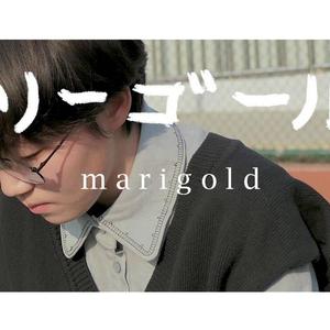 マリーゴールド