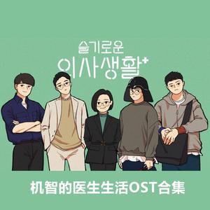 有不错的人就介绍下吧（Introduce me a good person）《机智的医生生活》OST（翻自 JOY）