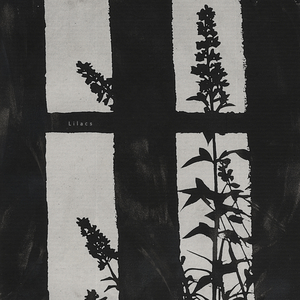 Lilacs