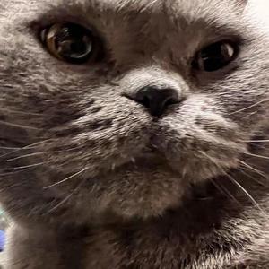 我想（prod by Lakewavebeatz)