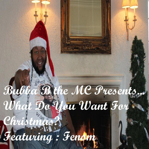 What Do You Want for Christmas? (Just in Time for the Holidays) [feat. Fenom]