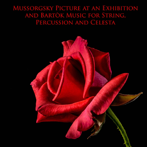 Music for Strings, Percussion and Celesta, Sz. 106: III. Adagio