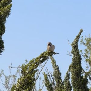 雨中墨色的神秘之境