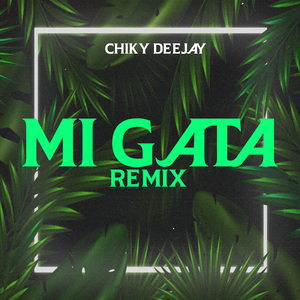 Mi Gata (Remix)