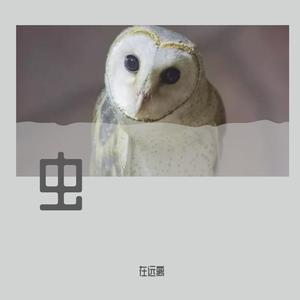 钢琴 [高质量](1)