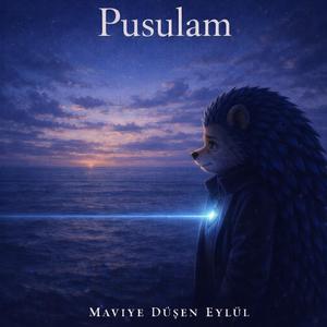 Pusulam