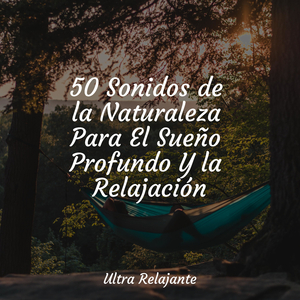 Perdido en El Zen