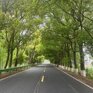 拥抱你都需要勇气