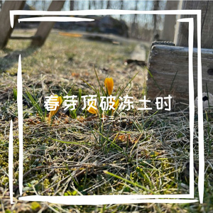 念风翊风掀