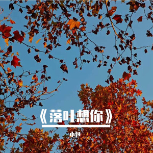 《叶落逢黄昏》