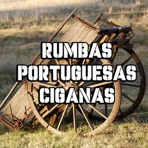 RUMBA PORTUGUESA 2025 (LIZANDRINHO VAMOS DANÇAR)