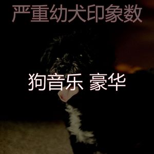 柔和的可爱的狗时刻