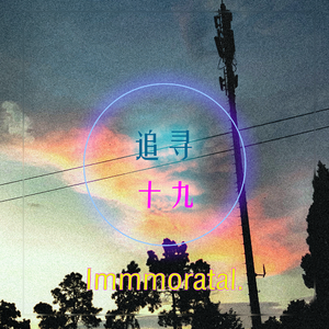 追寻：十九