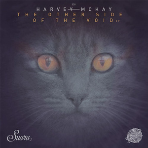 LSD AND IRN BRU (Original Mix)