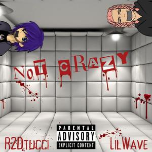 Not Crazy (feat. Lil Wave)