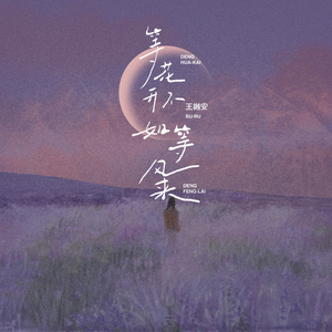 等花开不如等风来