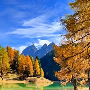 阿里郎 (葫芦丝独奏曲)