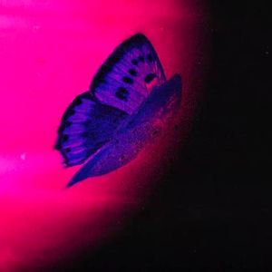 Cantina (Reverb Sped Up RadioMix)