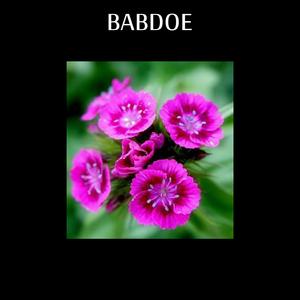 Babdoe Deel 5