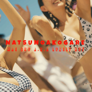 夏の憧れ
