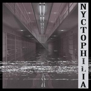 Nyctophilia