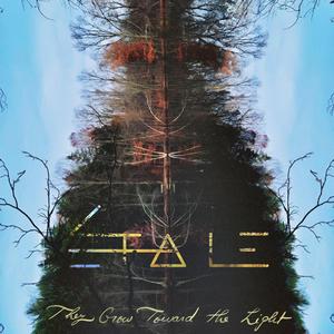 They Grow Toward the Light