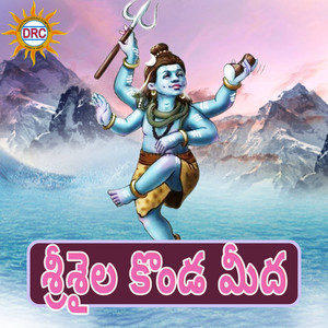 Srisaila Konda Meeda