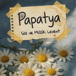 Papatya