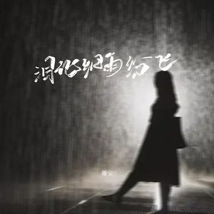 泪化细雨纷飞 (伴奏)