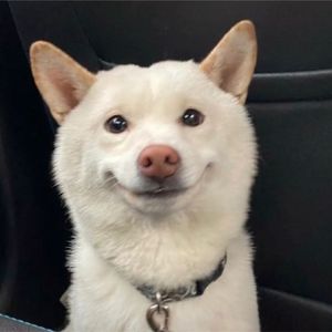 Faded（新版本）