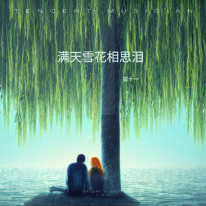 满天雪花相思泪