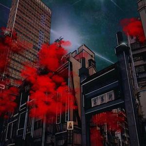 何去何从What To Do