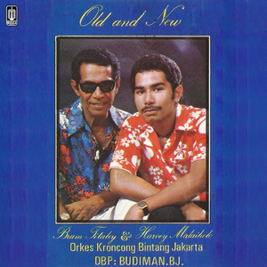 Lgm. Ditepinya Bengawan Solo