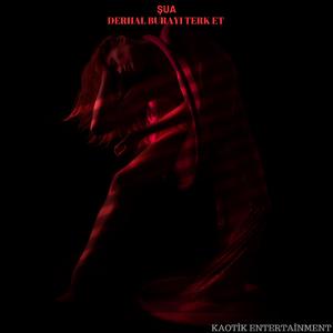 DERHAL BURAYI TERK ET (feat. Kaotik)