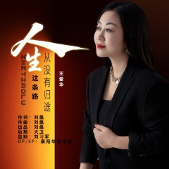 人生这条路从没有归途 (DJ伟然版)