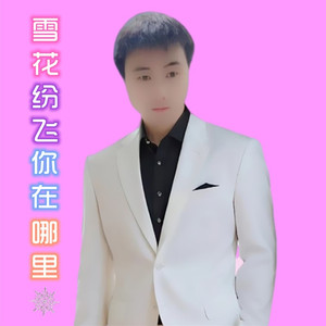 雪花纷飞你在哪里 (重新制作版)