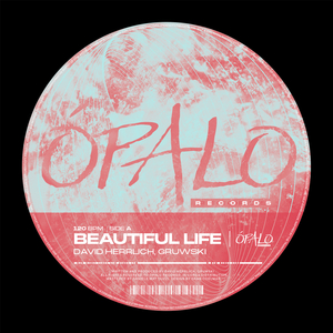 Beautiful Life (Extended Mix)