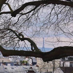 Fall in Love at the First Sight (with guitar)