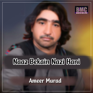 Naaz Bekain Nazi Hani