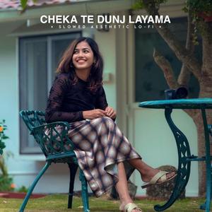 Aam Ge Sohagiya Tinj (Lo-fi)