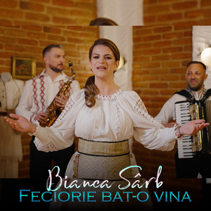 Feciorie bat-o vina
