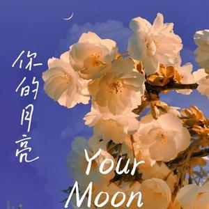 你的月亮 (1.1x)